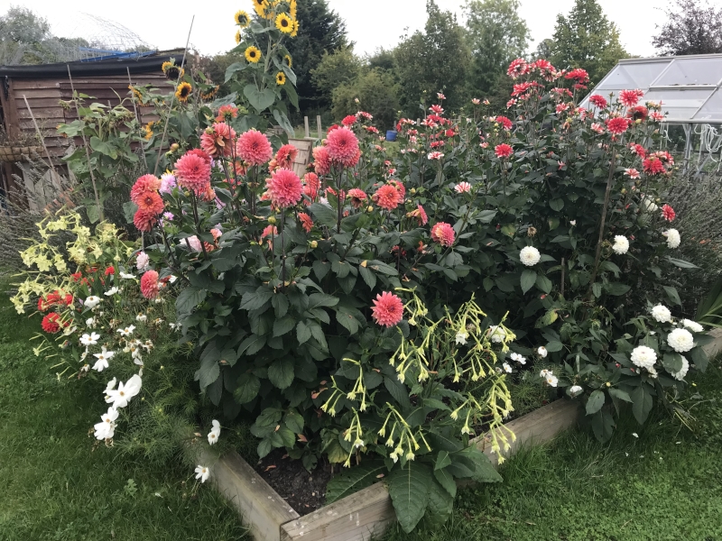 Blockley Allotments